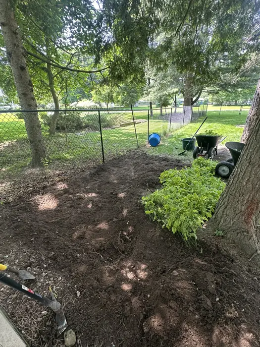 Landscaping project