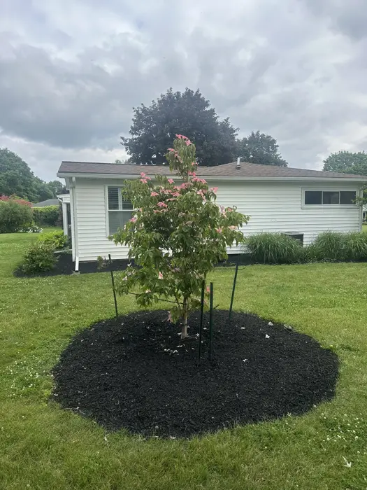 Landscaping project