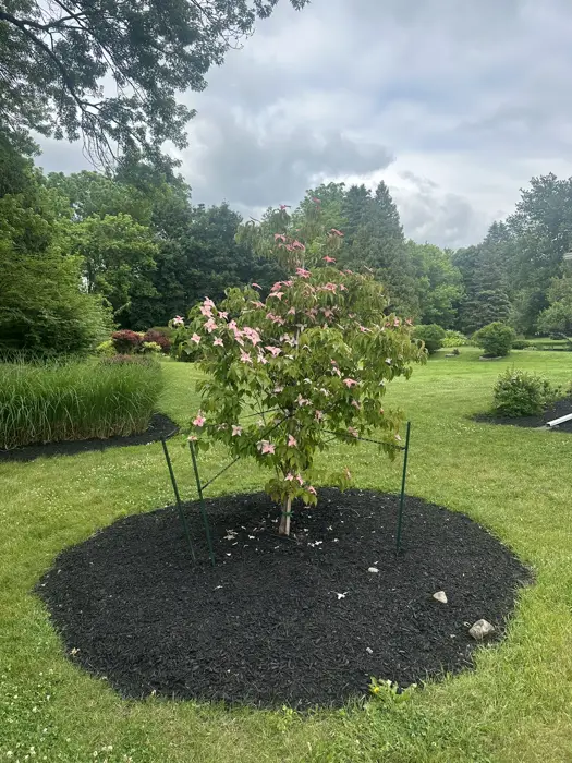 Landscaping project