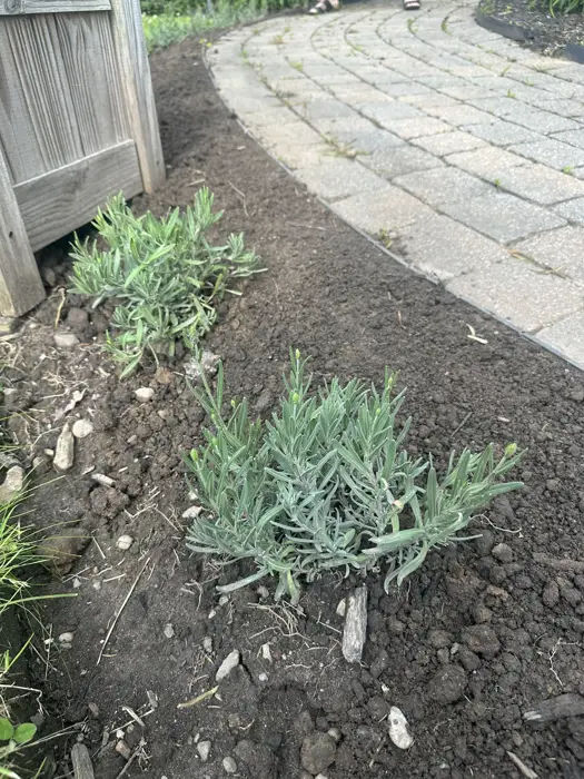 Landscaping project