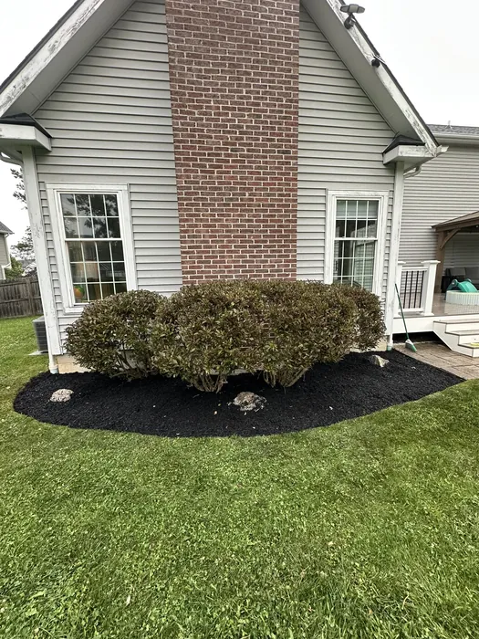 Landscaping project