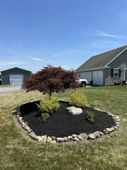 Landscaping project