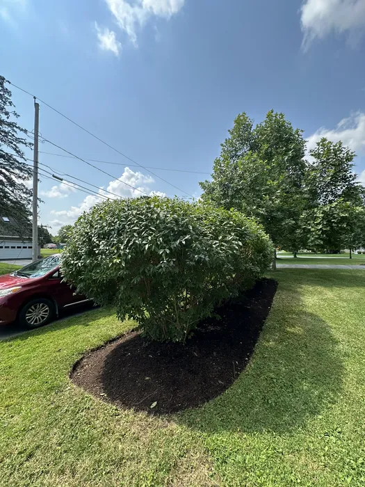 Landscaping project