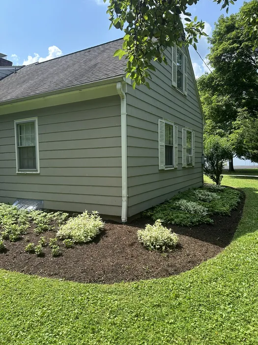 Landscaping project