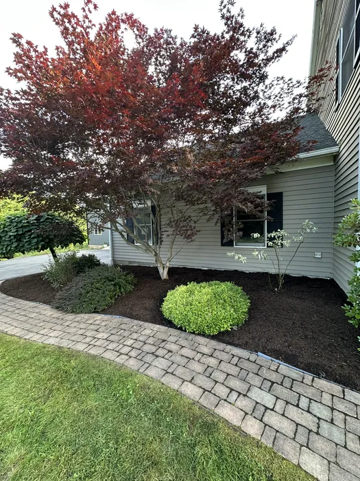 Landscaping project