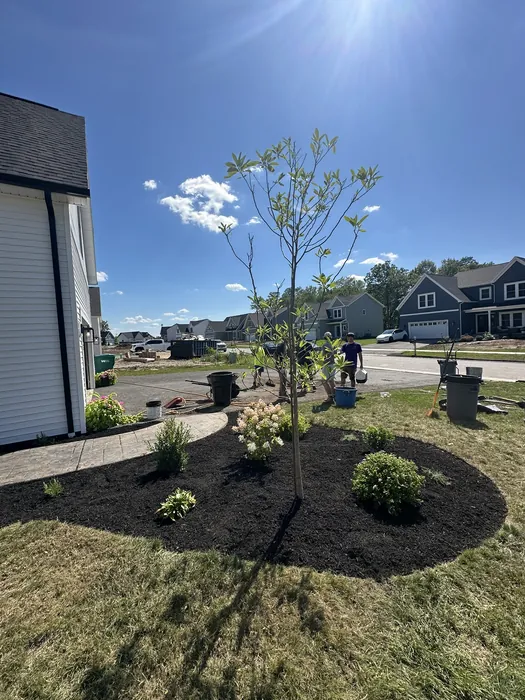 Landscaping project