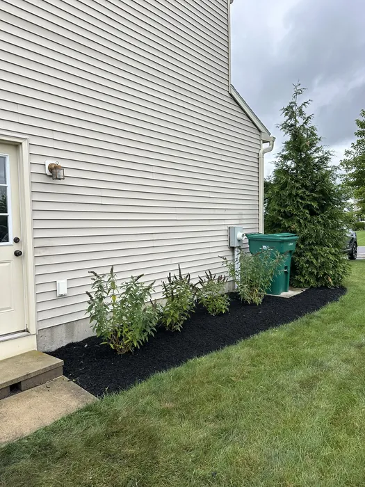 Landscaping project
