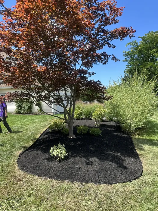 Landscaping project