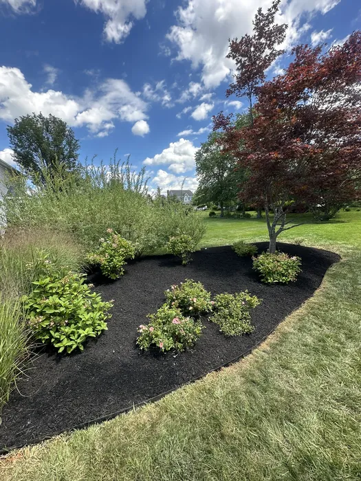 Landscaping project