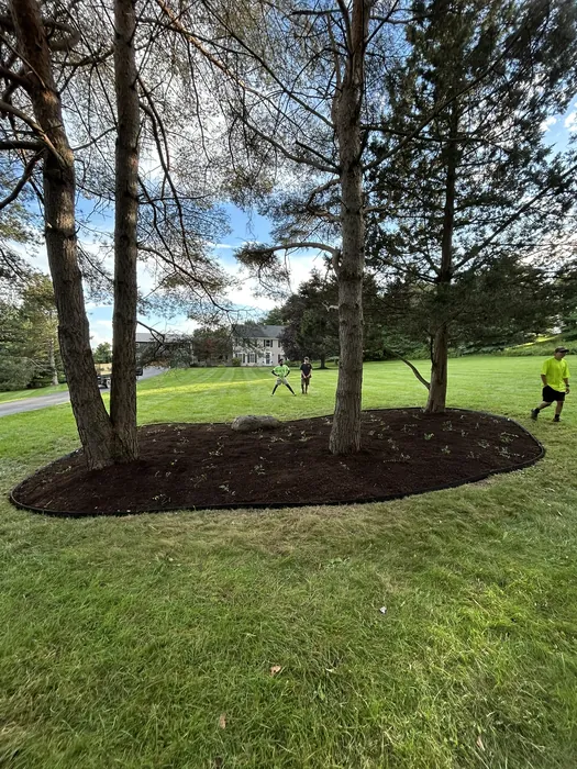 Landscaping project