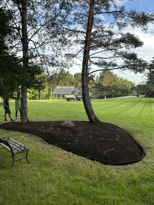 Landscaping project