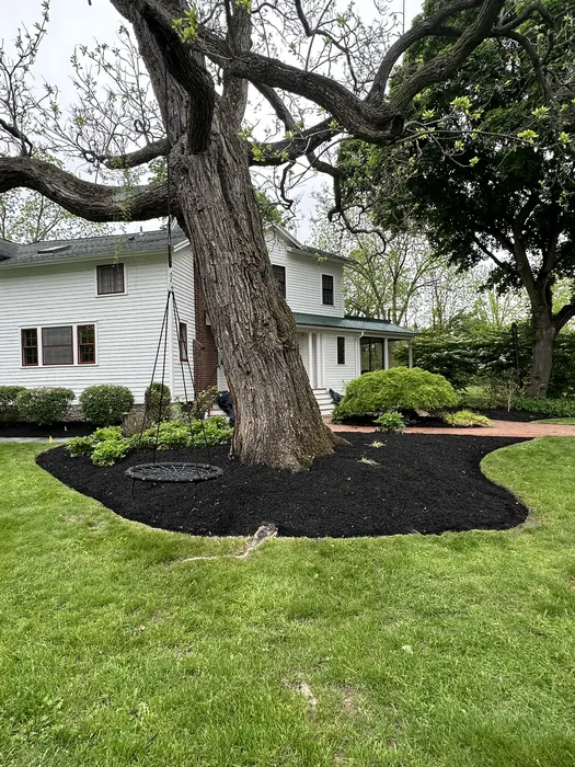 Landscaping project