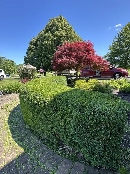 Landscaping project