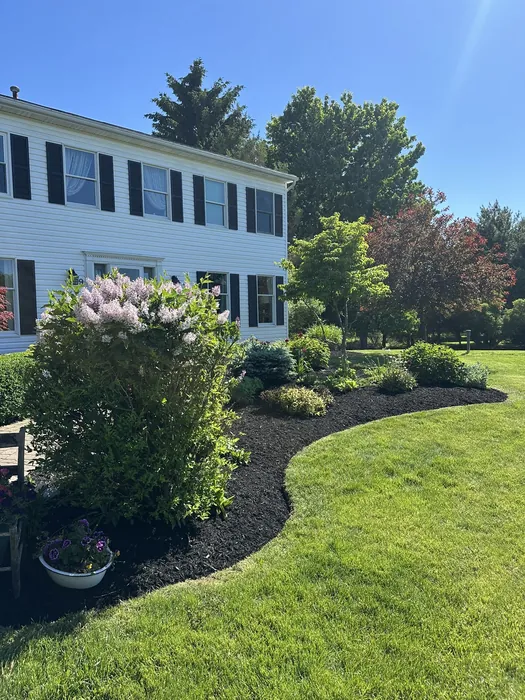 Landscaping project