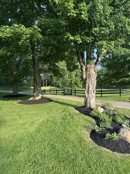 Landscaping project
