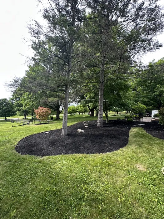 Landscaping project