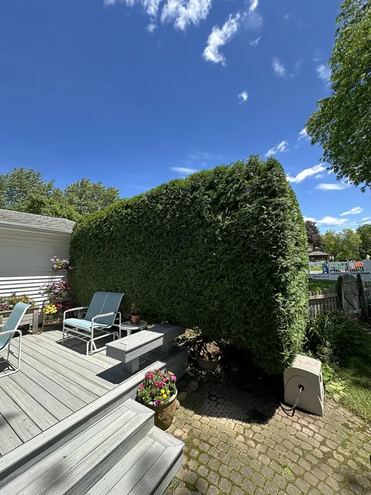 Landscaping project