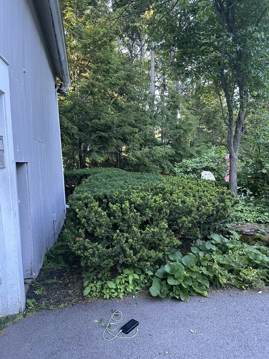 Landscaping project