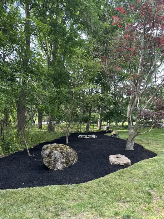 Landscaping project