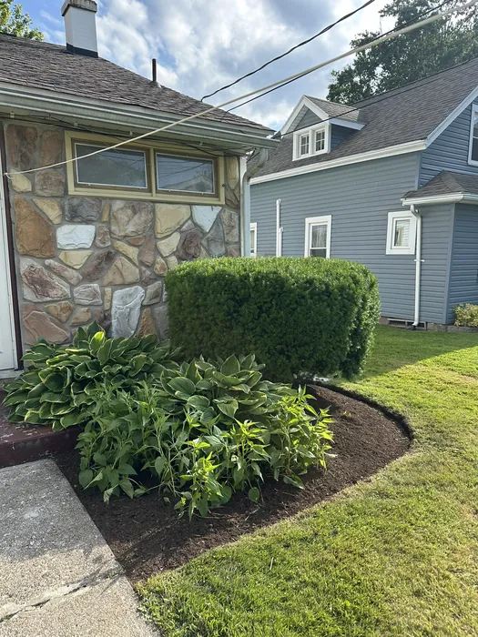 Landscaping project