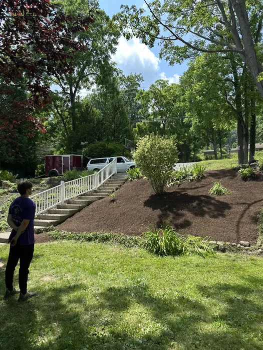 Landscaping project