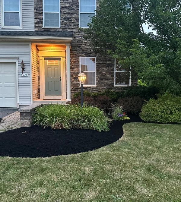 Fresh mulch bed in front of a home